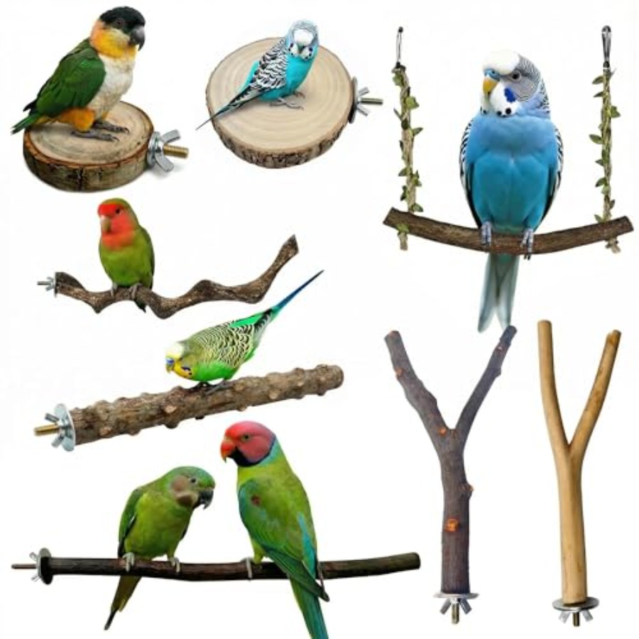 Health & Wellness Stores - 8 stuks natuurlijke houten vogelzitstokken voor